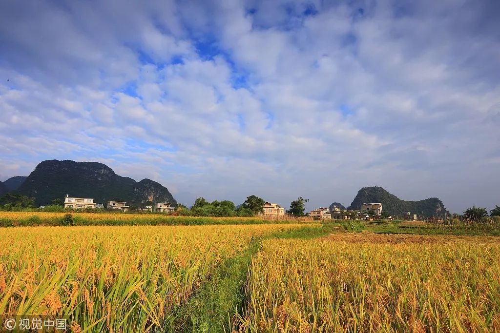 井岡山旅游上市最新動態(tài)，發(fā)展機遇與挑戰(zhàn)并存